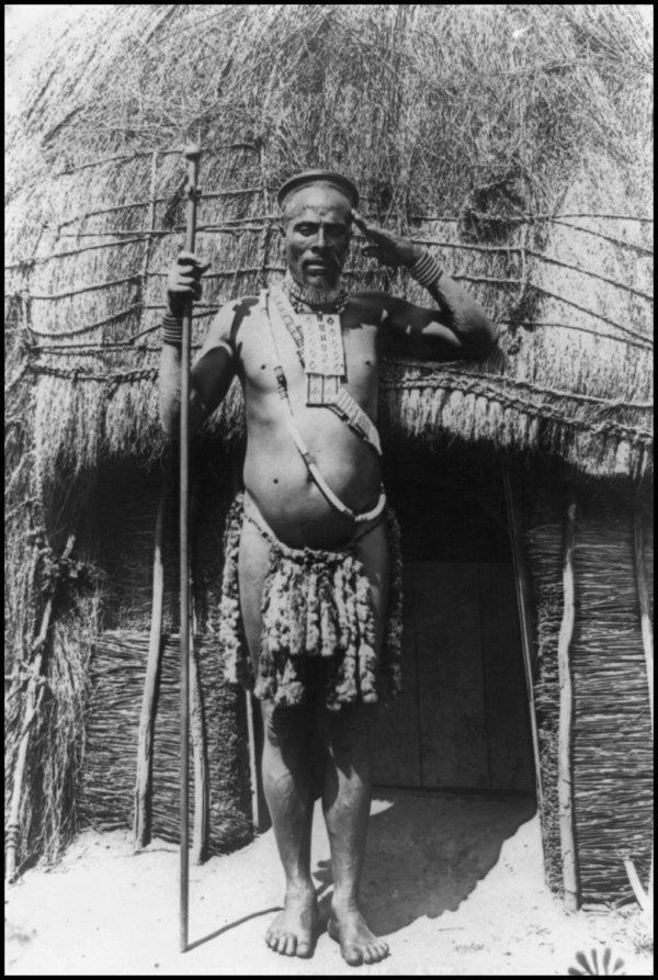 Zulu Chief image