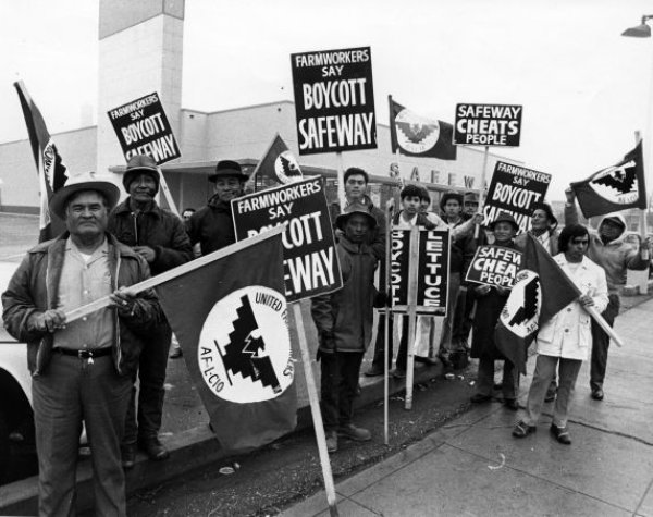 UFW picket