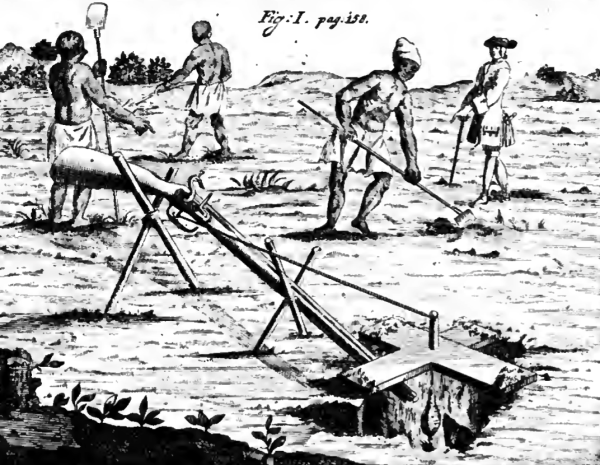 1700s drawing of three enslaved people and an overseer on a farm in the Cape Colony, South Africa