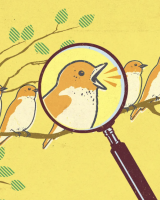 Teaching Students to Use Wikipedia as a Tool for Research - Thumbnail