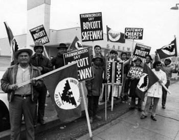 UFW picket